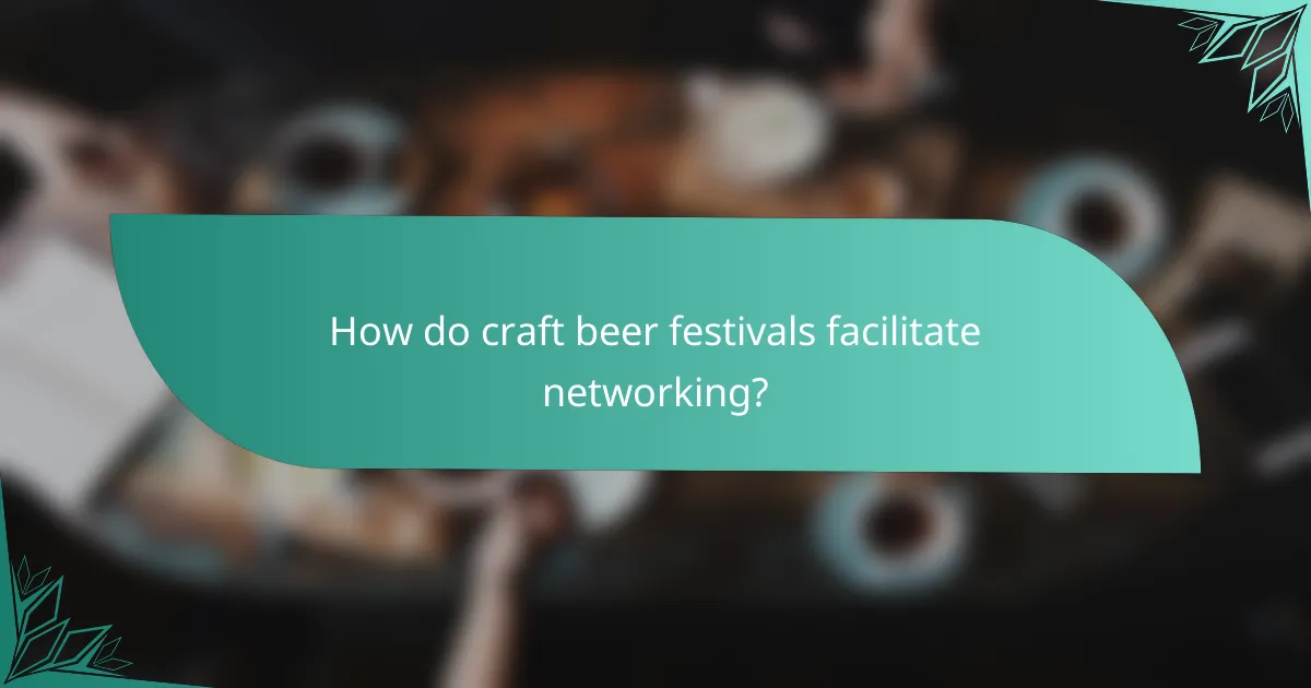 How do craft beer festivals facilitate networking?