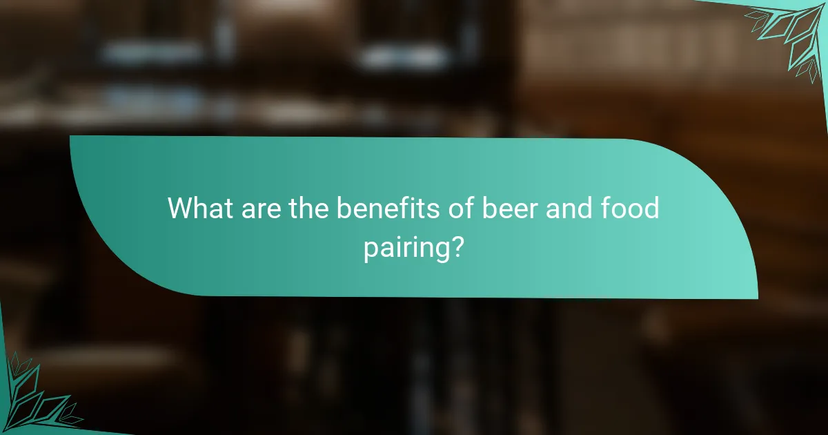 What are the benefits of beer and food pairing?