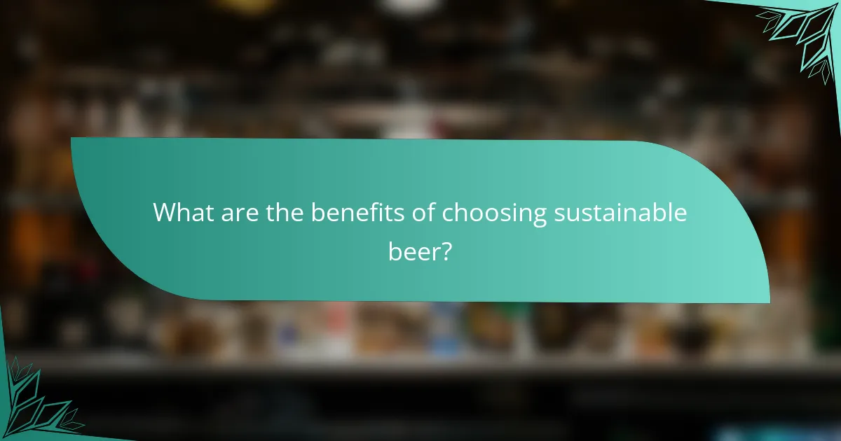 What are the benefits of choosing sustainable beer?