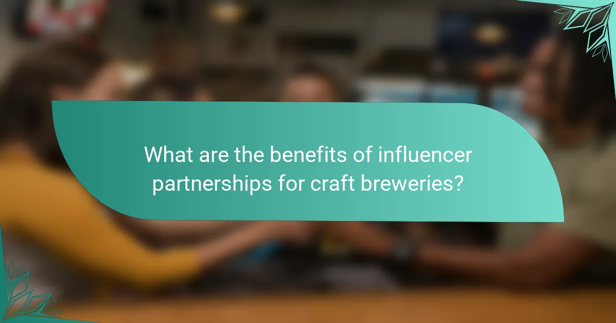 What are the benefits of influencer partnerships for craft breweries?