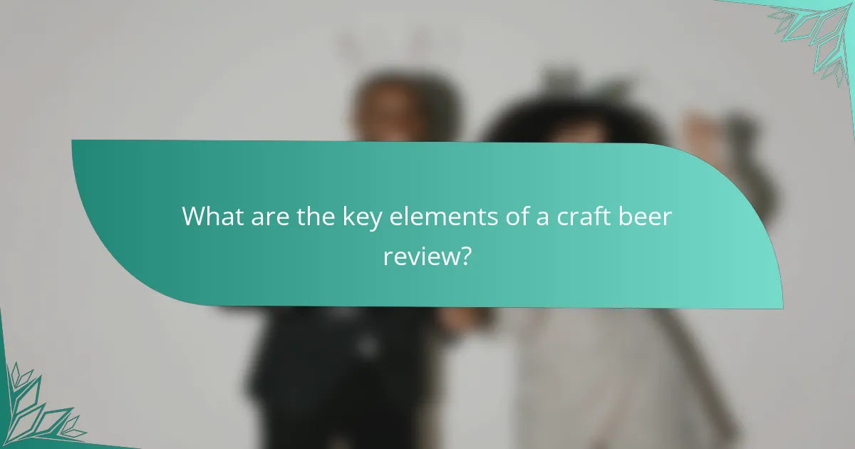 What are the key elements of a craft beer review?
